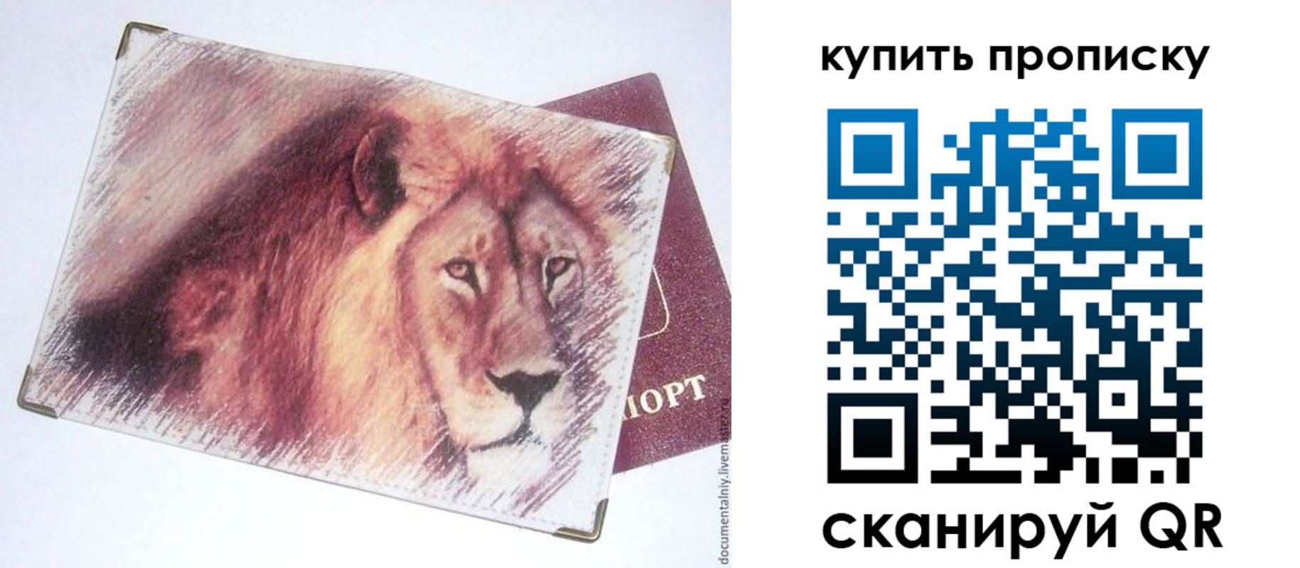 прописка паспорт в Тавде